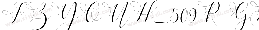 FZYOUH_509R  GB1 4字体转换